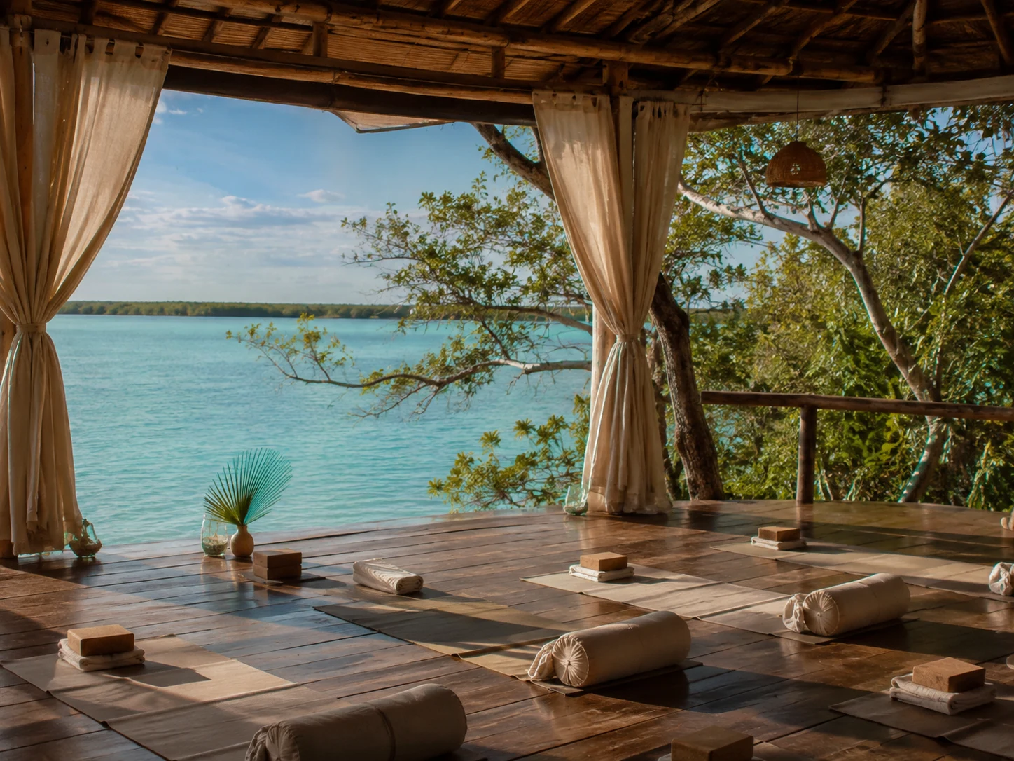 Representative holistic imagery for Yoga Espacio Libre